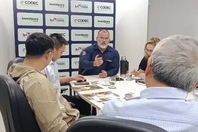 notícia: Com ajuda da Codec, investidores chineses avaliam projeto de bioindústria de bambu no Pará