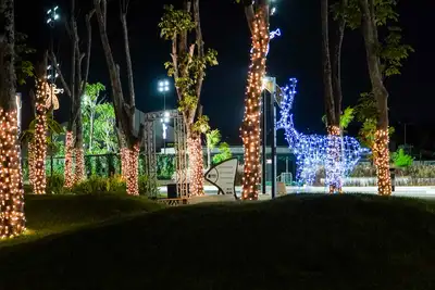 notícia: Parque da Cidade reabre com Natal Encantado e megaespetáculo neste sábado (6)