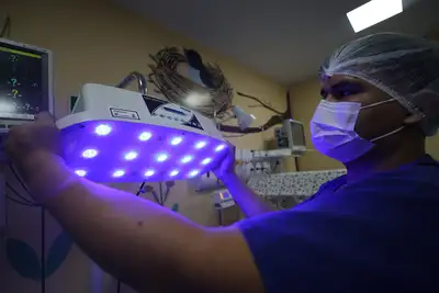 notícia: Fapespa divulga resultado final do Programa de Pesquisa para aprimoramento do SUS