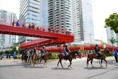 galeria:  Operação Boas Festas 