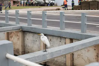 galeria: Canal Bengui