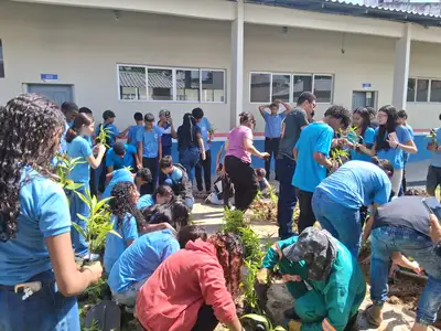 notícia: Estudantes criam jardins sustentáveis com materiais recicláveis