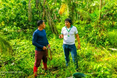 notícia: Com Emater, extrativista de açaí de Belém comemora conquista de crédito rural 