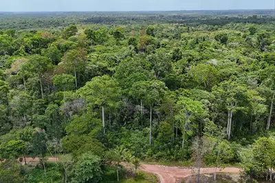 notícia: Pará reduz em 44% os alertas de desmatamento, segundo Inpe