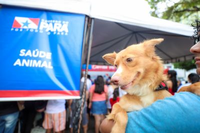 notícia: Cultura Rede de Comunicação realiza ação pela causa animal na Praça da República