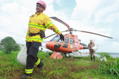 notícia: Governo do Pará realiza operação inédita para recuperar áreas afetadas por incêndios florestais no Pará