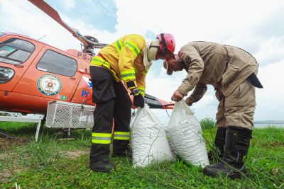 notícia: Governo do Pará realiza operação inédita para recuperar áreas afetadas por incêndios florestais no Pará