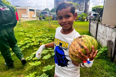 notícia: Com colheita de hortaliças, Hospital Metropolitano reforça importância de alimentação saudável para crianças