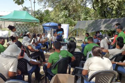 notícia: Curso de mudas incentiva criação de sistemas agroflorestais no Marajó