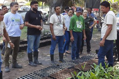 notícia: Curso de mudas incentiva criação de sistemas agroflorestais no Marajó