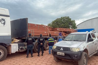 notícia: Secretaria da Fazenda do Pará (Sefa) apreende madeira serrada e oito mil óculos  