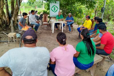 notícia: Agricultores de Ipixuna do Pará recebem orientações sobre técnicas de cultivo de cacau da Emater 