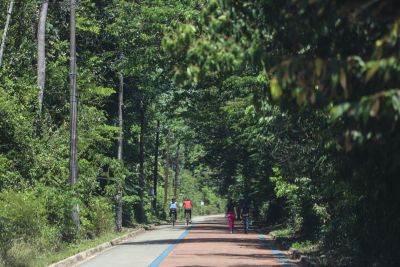 notícia: Parque Estadual do Utinga é destino certo para lazer e bem-estar aos fins de semana