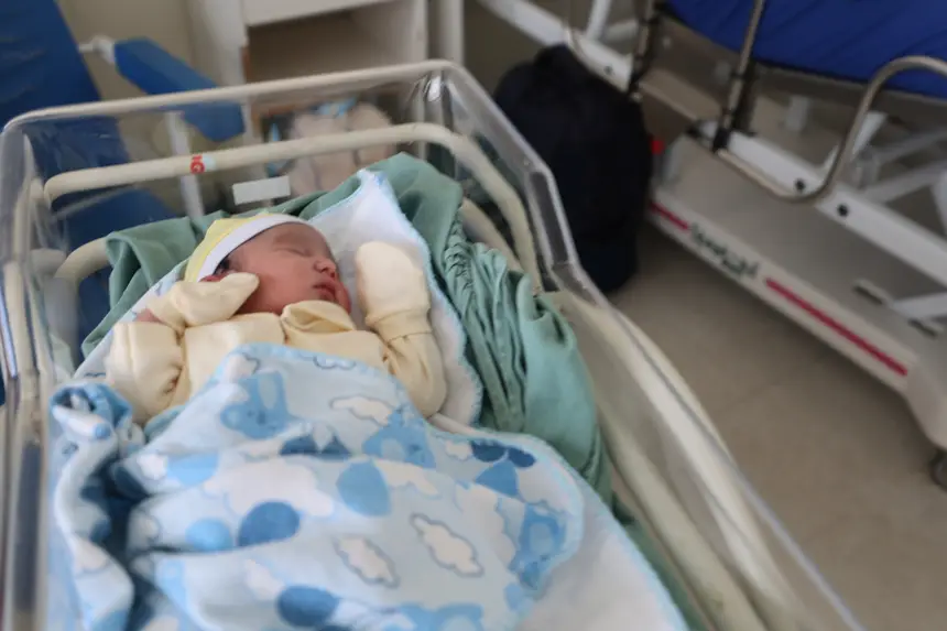  <div class='credito_fotos'>Foto: Bruno Cruz / Ag. Pará &nbsp;&nbsp;|&nbsp;&nbsp; <a href='/midias/2026/originais/20260101111108-GF00025996-F00481804.jpg' download><i class='fa-solid fa-download'></i> Download</a></div>