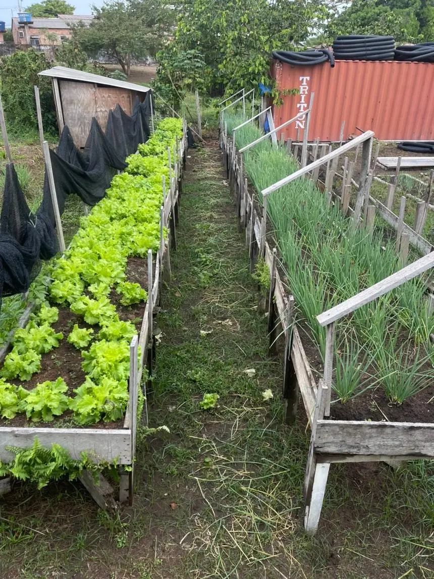 Horta orgânica da unidade foi uma das práticas bem avaliadas