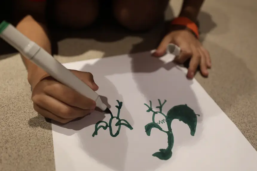  <div class='credito_fotos'>Foto: Bruno Cruz / Ag. Pará &nbsp;&nbsp;|&nbsp;&nbsp; <a href='/midias/2026/originais/20260105120804-GF00026010-F00482278.jpg' download><i class='fa-solid fa-download'></i> Download</a></div>