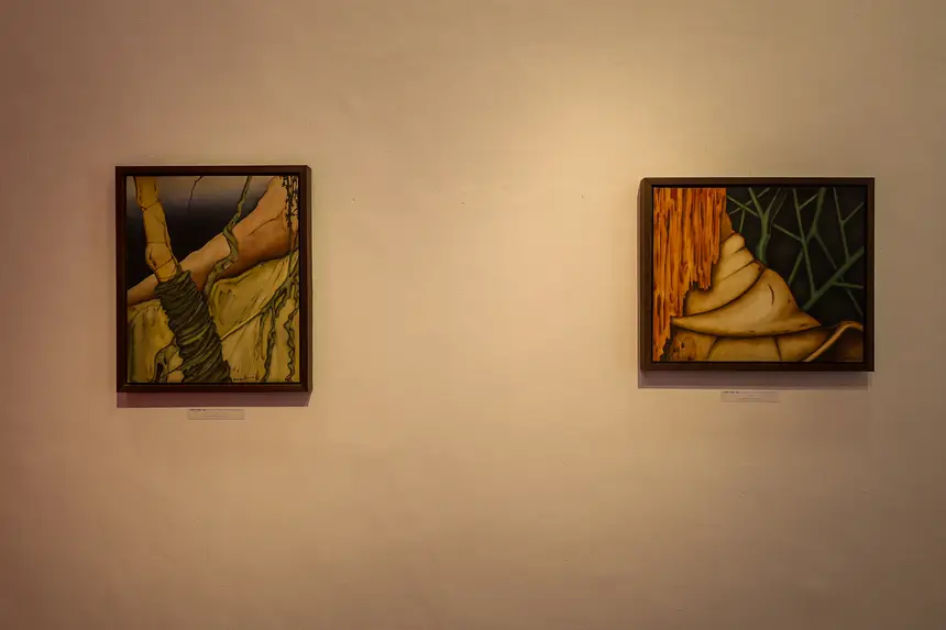  <div class='credito_fotos'>Foto: Bruno Cruz / Ag. Pará &nbsp;&nbsp;|&nbsp;&nbsp; <a href='/midias/2026/originais/20260107123436-GF00026016-F00482370.jpg' download><i class='fa-solid fa-download'></i> Download</a></div>