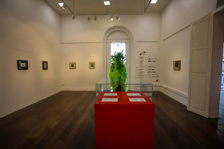  <div class='credito_fotos'>Foto: Bruno Cruz / Ag. Pará &nbsp;&nbsp;|&nbsp;&nbsp; <a href='/midias/2026/originais/20260107123440-GF00026016-F00482373.jpg' download><i class='fa-solid fa-download'></i> Download</a></div>