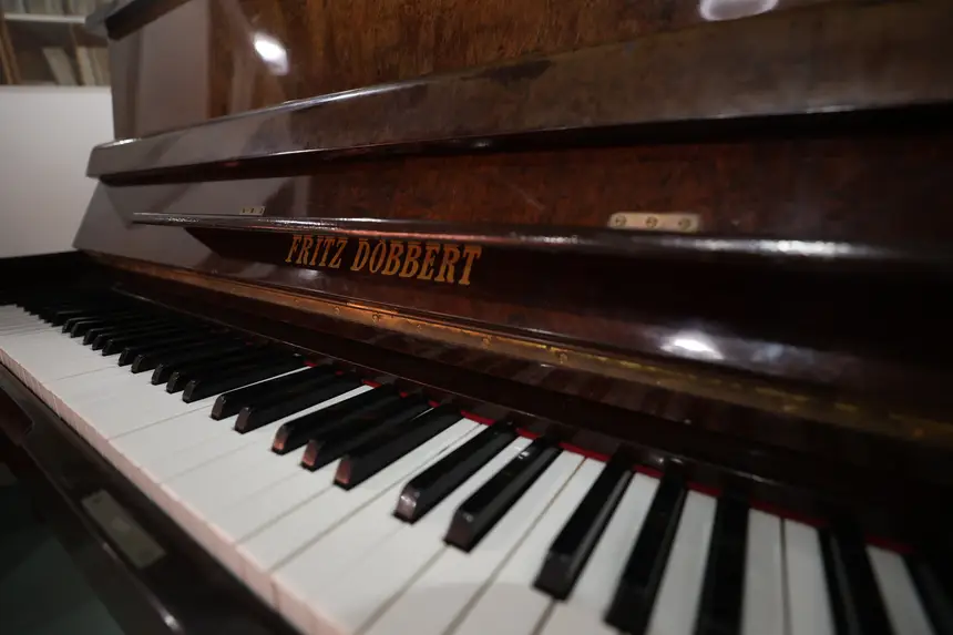  <div class='credito_fotos'>Foto: Bruno Cruz / Ag. Pará &nbsp;&nbsp;|&nbsp;&nbsp; <a href='/midias/2026/originais/20260107124634-GF00026017-F00482579.jpg' download><i class='fa-solid fa-download'></i> Download</a></div>