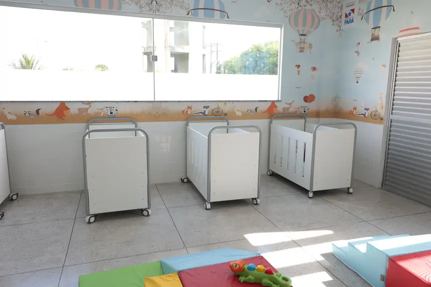  <div class='credito_fotos'>Foto: Alex Ribeiro / Ag. Pará &nbsp;&nbsp;|&nbsp;&nbsp; <a href='/midias/2026/originais/20260115093806-GF00026063-F00484466.jpg' download><i class='fa-solid fa-download'></i> Download</a></div>