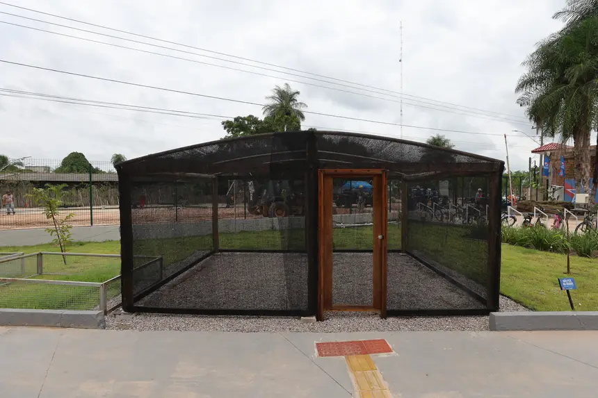  <div class='credito_fotos'>Foto: Bruno Cruz / Ag. Pará &nbsp;&nbsp;|&nbsp;&nbsp; <a href='/midias/2026/originais/20260115122421-GF00026066-F00484541.jpg' download><i class='fa-solid fa-download'></i> Download</a></div>