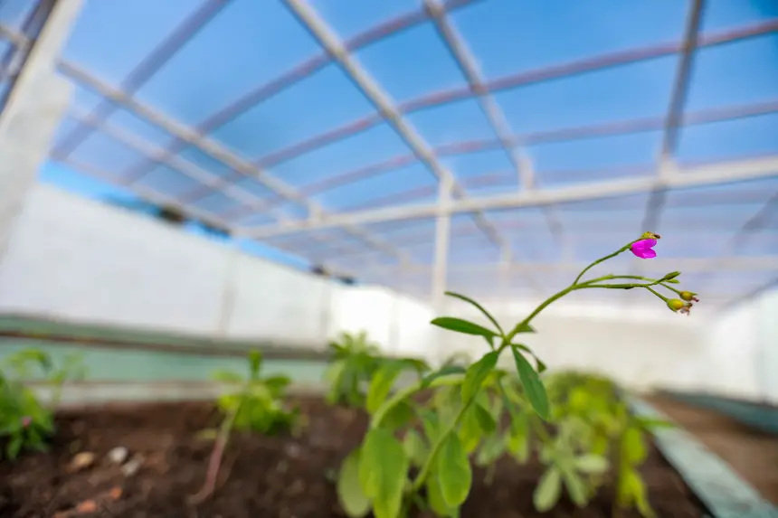  <div class='credito_fotos'>Foto: Marcelo Lelis / Ag. Pará &nbsp;&nbsp;|&nbsp;&nbsp; <a href='/midias/2026/originais/20260120103614-GF00026097-F00485696.jpg' download><i class='fa-solid fa-download'></i> Download</a></div>