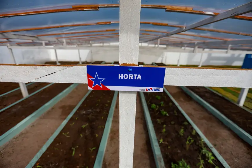  <div class='credito_fotos'>Foto: Marcelo Lelis / Ag. Pará &nbsp;&nbsp;|&nbsp;&nbsp; <a href='/midias/2026/originais/20260120103619-GF00026097-F00485698.jpg' download><i class='fa-solid fa-download'></i> Download</a></div>