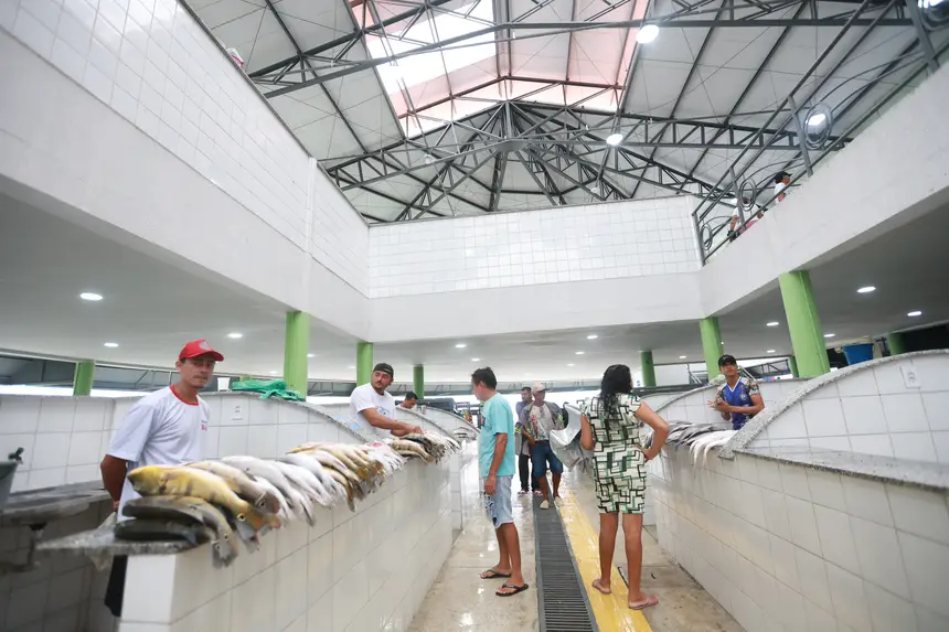  <div class='credito_fotos'>Foto: Marcelo Lelis / Ag. Pará &nbsp;&nbsp;|&nbsp;&nbsp; <a href='/midias/2026/originais/20260122100645-GF00026113-F00486195.jpg' download><i class='fa-solid fa-download'></i> Download</a></div>