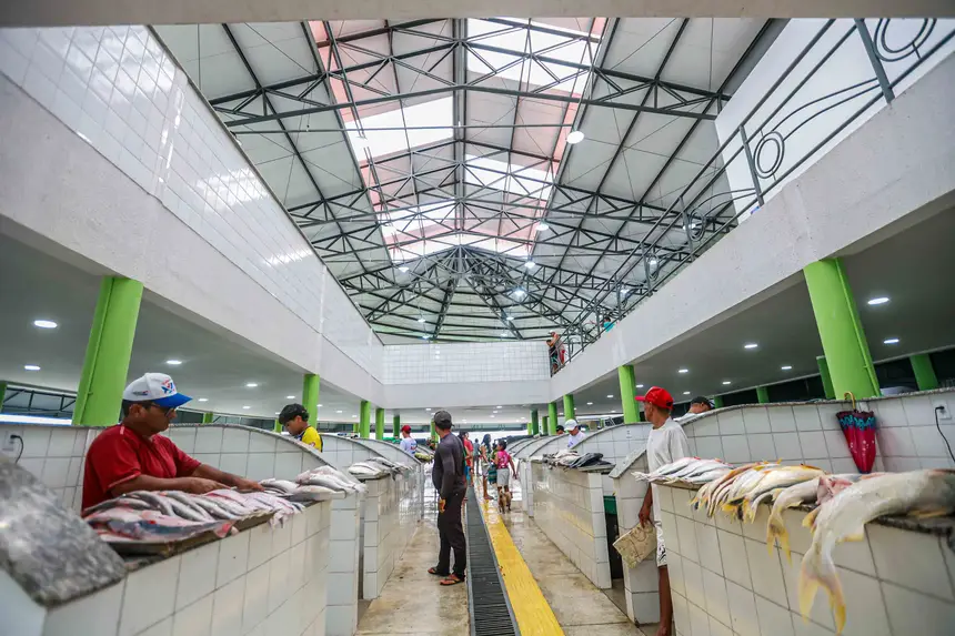  <div class='credito_fotos'>Foto: Marcelo Lelis / Ag. Pará &nbsp;&nbsp;|&nbsp;&nbsp; <a href='/midias/2026/originais/20260122104450-GF00026113-F00486218.jpg' download><i class='fa-solid fa-download'></i> Download</a></div>