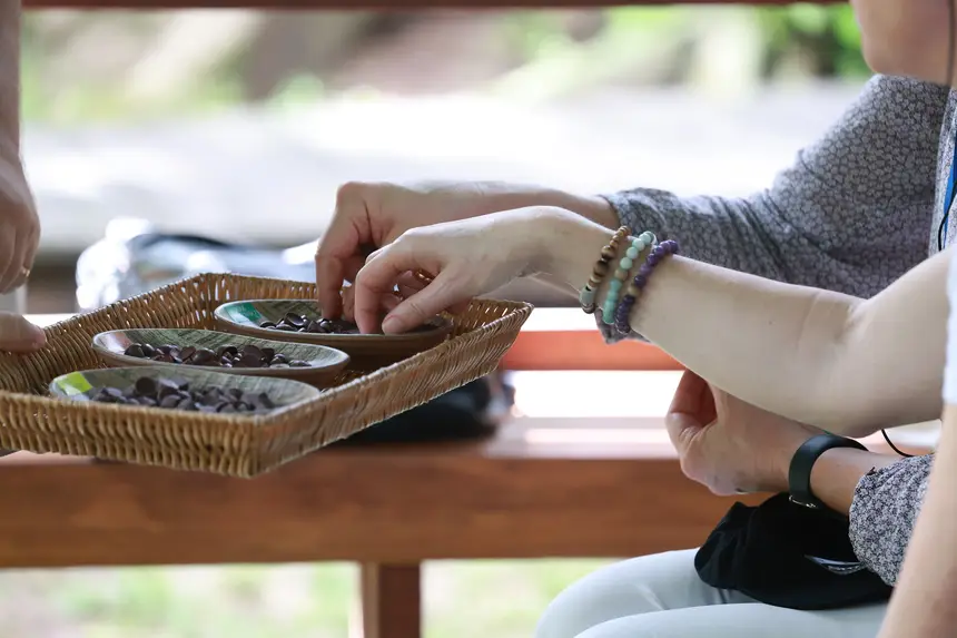  <div class='credito_fotos'>Foto: Marcelo Lelis / Ag. Pará &nbsp;&nbsp;|&nbsp;&nbsp; <a href='/midias/2026/originais/20260205122052-GF00026213-F00489201.jpg' download><i class='fa-solid fa-download'></i> Download</a></div>