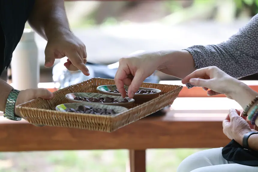  <div class='credito_fotos'>Foto: Marcelo Lelis / Ag. Pará &nbsp;&nbsp;|&nbsp;&nbsp; <a href='/midias/2026/originais/20260205122054-GF00026213-F00489202.jpg' download><i class='fa-solid fa-download'></i> Download</a></div>