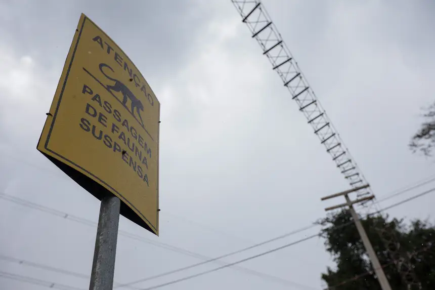  <div class='credito_fotos'>Foto: Pedro Guerreiro / Ag. Pará &nbsp;&nbsp;|&nbsp;&nbsp; <a href='/midias/2026/originais/20260212122144-GF00026266-F00490482.jpg' download><i class='fa-solid fa-download'></i> Download</a></div>