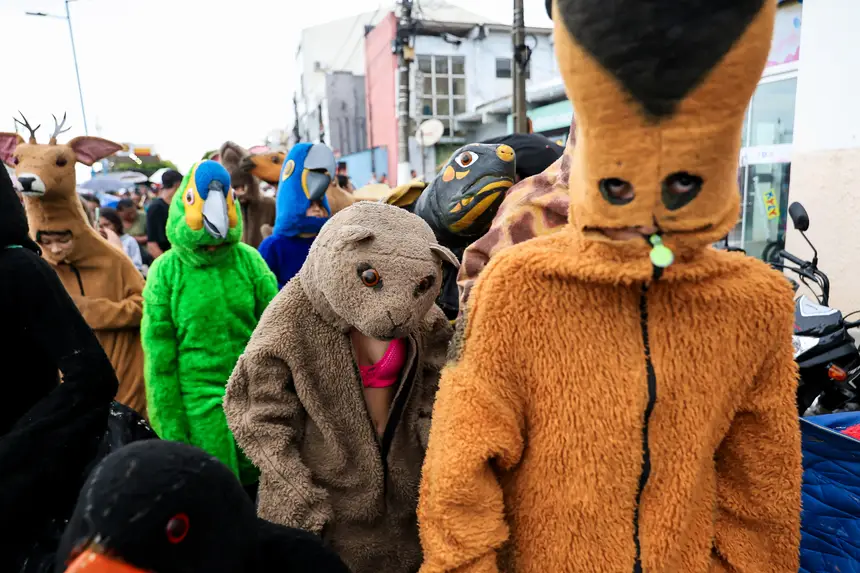  <div class='credito_fotos'>Foto: Marco Santos / Ag. Pará &nbsp;&nbsp;|&nbsp;&nbsp; <a href='/midias/2026/originais/20260213214528-GF00026282-F00490924.jpg' download><i class='fa-solid fa-download'></i> Download</a></div>