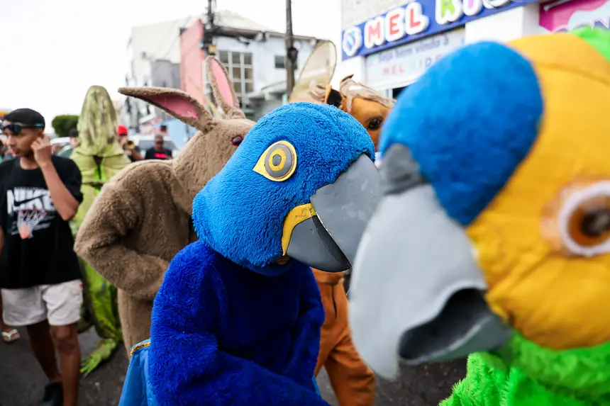  <div class='credito_fotos'>Foto: Marco Santos / Ag. Pará &nbsp;&nbsp;|&nbsp;&nbsp; <a href='/midias/2026/originais/20260213214530-GF00026282-F00490925.jpg' download><i class='fa-solid fa-download'></i> Download</a></div>