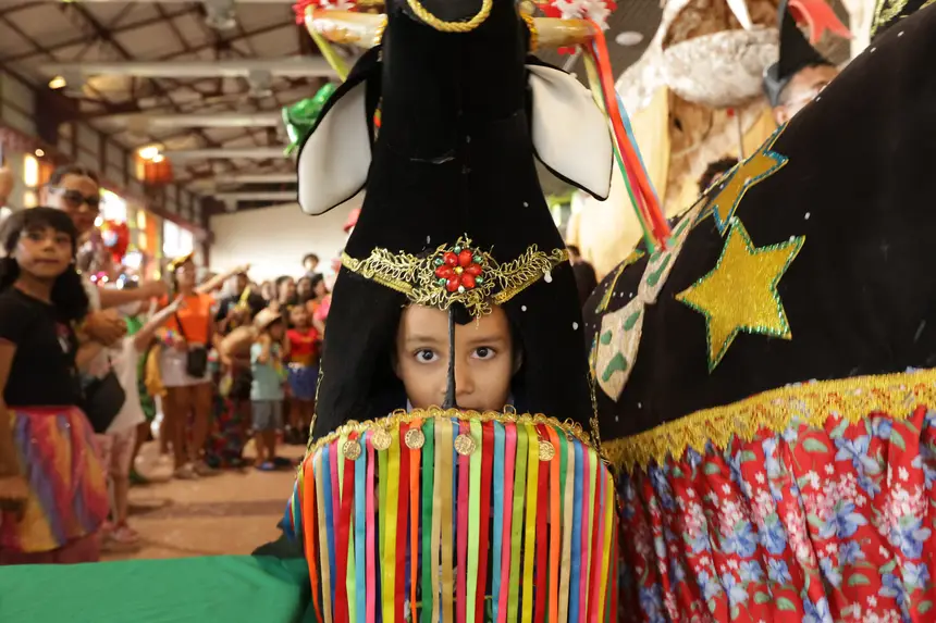  <div class='credito_fotos'>Foto: Pedro Guerreiro / Ag. Pará &nbsp;&nbsp;|&nbsp;&nbsp; <a href='/midias/2026/originais/20260217202621-GF00026302-F00491538.jpg' download><i class='fa-solid fa-download'></i> Download</a></div>