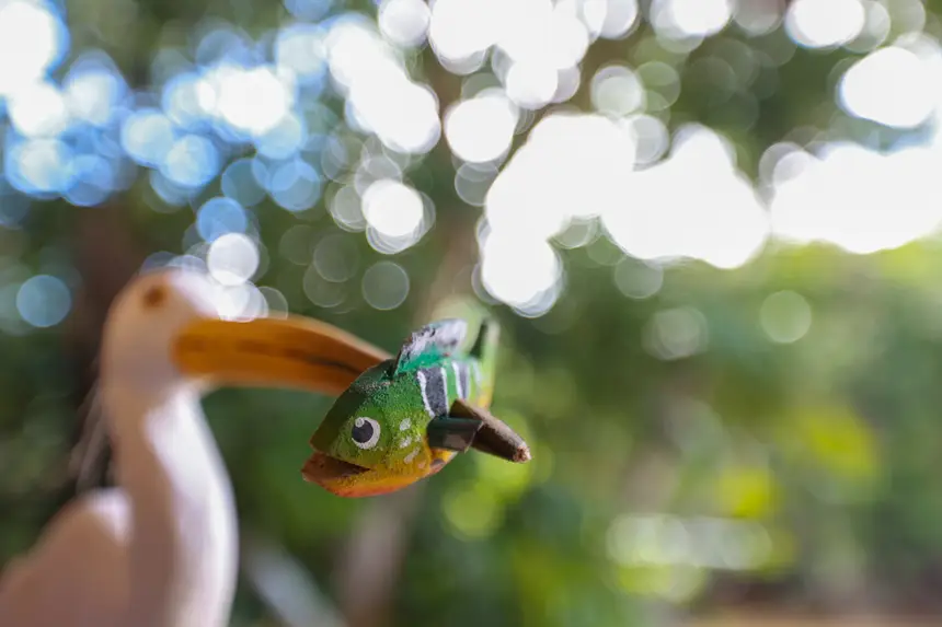  <div class='credito_fotos'>Foto: Marcelo Lelis / Ag. Pará &nbsp;&nbsp;|&nbsp;&nbsp; <a href='/midias/2026/originais/20260219114723-GF00026307-F00491748.jpg' download><i class='fa-solid fa-download'></i> Download</a></div>