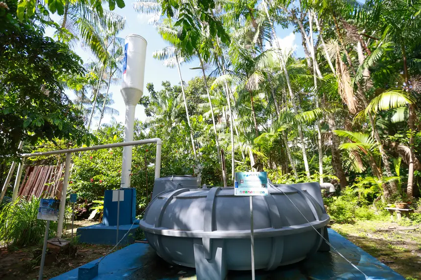  <div class='credito_fotos'>Foto: Marcelo Lelis / Ag. Pará &nbsp;&nbsp;|&nbsp;&nbsp; <a href='/midias/2026/originais/20260219114739-GF00026307-F00491756.jpg' download><i class='fa-solid fa-download'></i> Download</a></div>