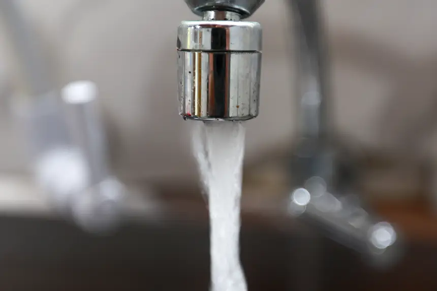  <div class='credito_fotos'>Foto: Marcelo Lelis / Ag. Pará &nbsp;&nbsp;|&nbsp;&nbsp; <a href='/midias/2026/originais/20260219114752-GF00026307-F00491763.jpg' download><i class='fa-solid fa-download'></i> Download</a></div>