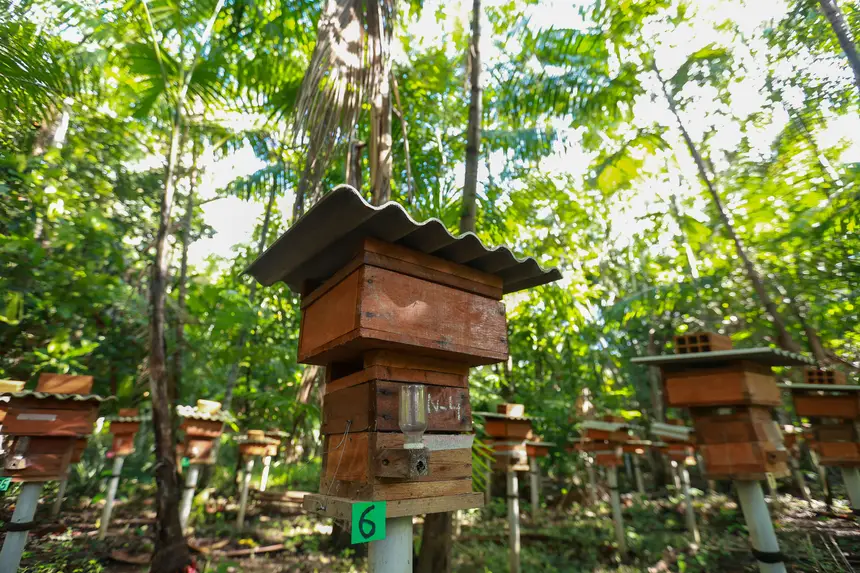  <div class='credito_fotos'>Foto: Marcelo Lelis / Ag. Pará &nbsp;&nbsp;|&nbsp;&nbsp; <a href='/midias/2026/originais/20260219114802-GF00026307-F00491768.jpg' download><i class='fa-solid fa-download'></i> Download</a></div>