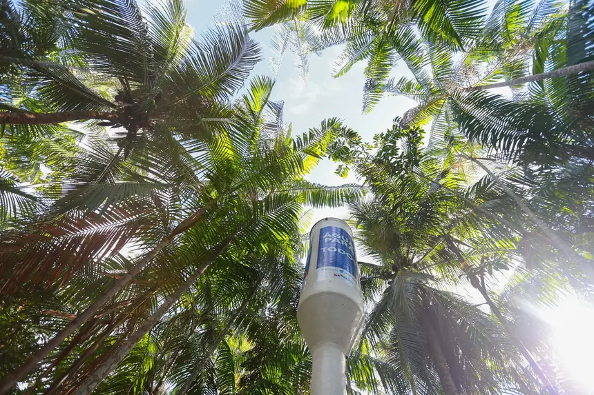  <div class='credito_fotos'>Foto: Marcelo Lelis / Ag. Pará &nbsp;&nbsp;|&nbsp;&nbsp; <a href='/midias/2026/originais/20260219114807-GF00026307-F00491771.jpg' download><i class='fa-solid fa-download'></i> Download</a></div>