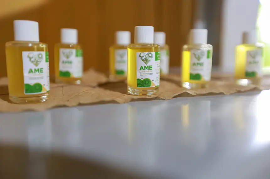  <div class='credito_fotos'>Foto: Marcelo Lelis / Ag. Pará &nbsp;&nbsp;|&nbsp;&nbsp; <a href='/midias/2026/originais/20260219114825-GF00026307-F00491780.jpg' download><i class='fa-solid fa-download'></i> Download</a></div>