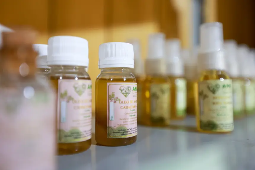  <div class='credito_fotos'>Foto: Marcelo Lelis / Ag. Pará &nbsp;&nbsp;|&nbsp;&nbsp; <a href='/midias/2026/originais/20260219114827-GF00026307-F00491781.jpg' download><i class='fa-solid fa-download'></i> Download</a></div>