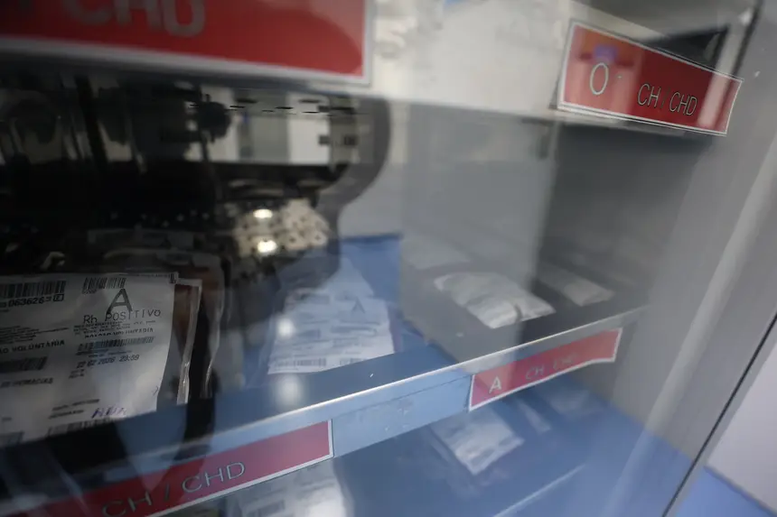  <div class='credito_fotos'>Foto: Rodrigo Pinheiro / Ag. Pará &nbsp;&nbsp;|&nbsp;&nbsp; <a href='/midias/2026/originais/20260220114601-GF00026312-F00491909.jpg' download><i class='fa-solid fa-download'></i> Download</a></div>