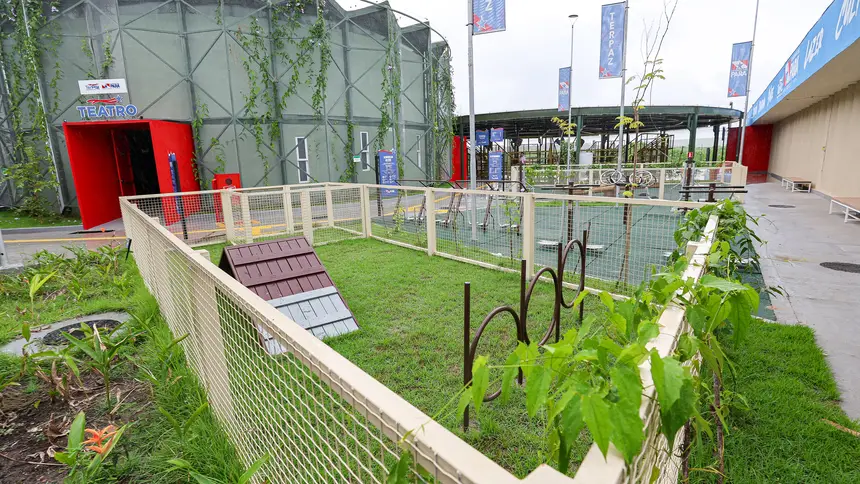  <div class='credito_fotos'>Foto: Bruno Cruz / Ag. Pará &nbsp;&nbsp;|&nbsp;&nbsp; <a href='/midias/2026/originais/20260225165057-GF00026355-F00493361.jpg' download><i class='fa-solid fa-download'></i> Download</a></div>