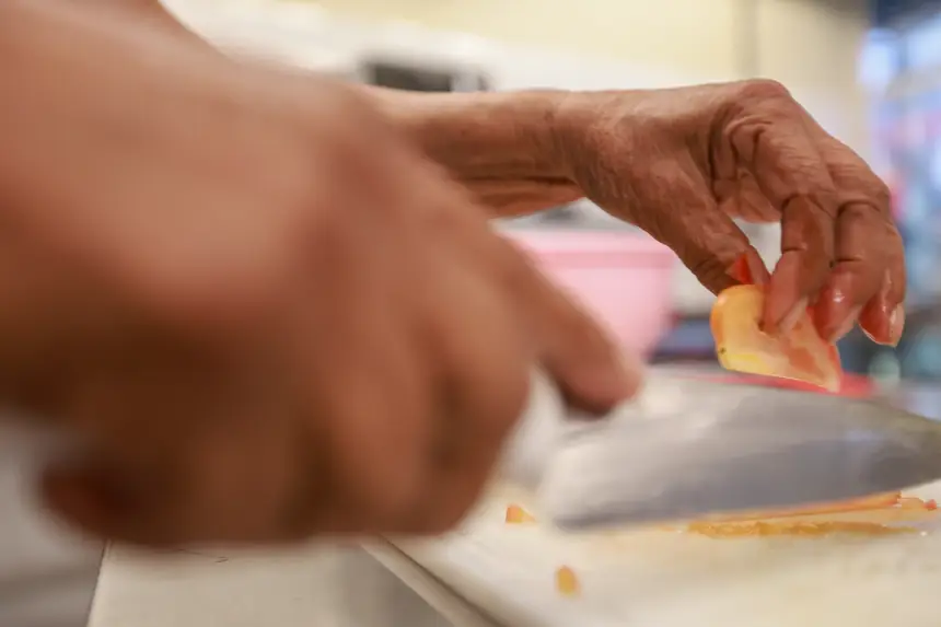  <div class='credito_fotos'>Foto: Marcelo Lelis / Ag. Pará &nbsp;&nbsp;|&nbsp;&nbsp; <a href='/midias/2026/originais/20260227114131-GF00026385-F00494104.jpg' download><i class='fa-solid fa-download'></i> Download</a></div>