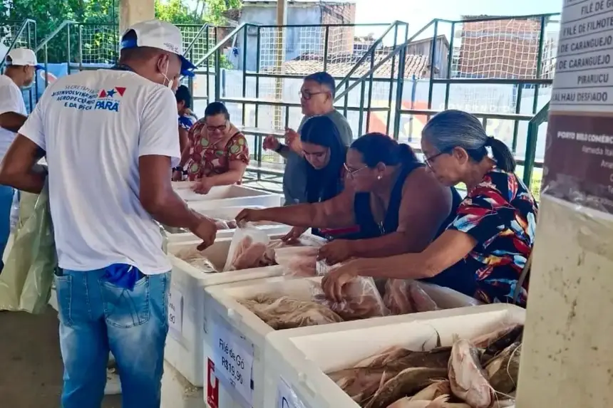 O decreto estabelece, também, a realização da Feira do Pescado pela Sedap