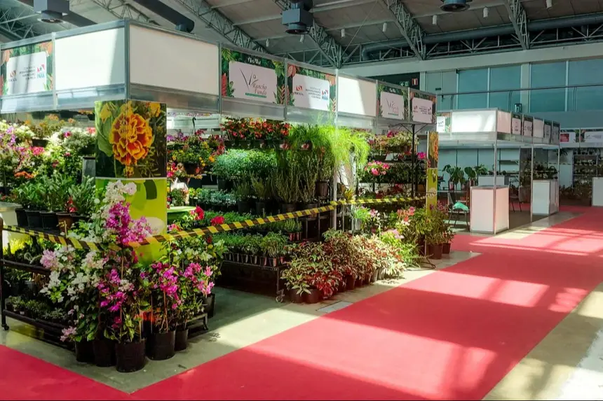 Foto: Divulgação As flores e plantas da Amazônia também estarão no Hangar durante o Chocolat Amazônia e Flor Pará 2026