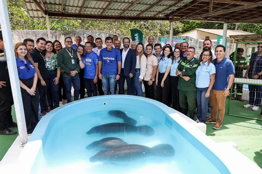  <div class='credito_fotos'>Foto: Marco Santos / Ag. Pará &nbsp;&nbsp;|&nbsp;&nbsp; <a href='/midias/2026/originais/20260324153721-GF00026636-F00503061.jpg' download><i class='fa-solid fa-download'></i> Download</a></div>