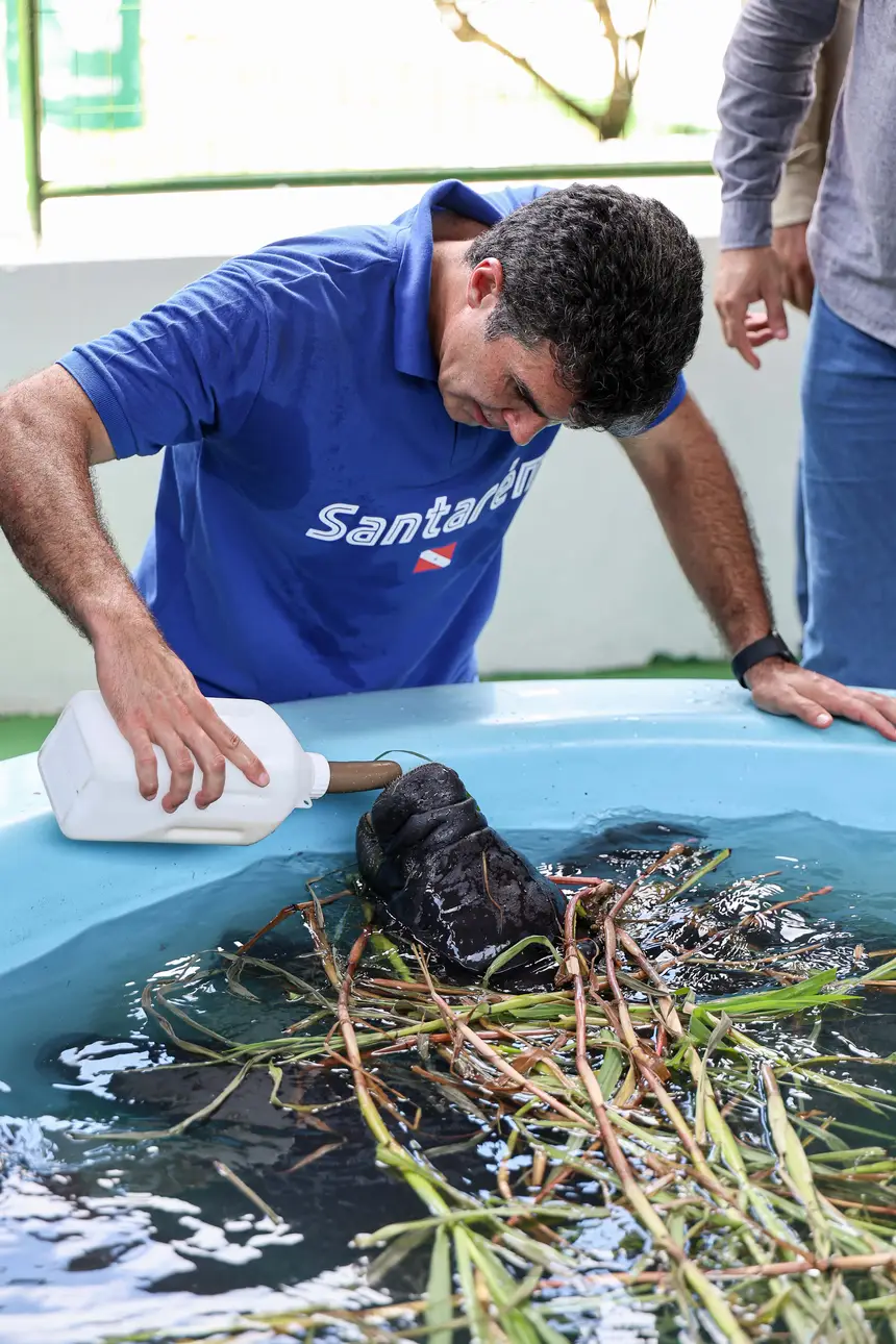  <div class='credito_fotos'>Foto: Marco Santos / Ag. Pará &nbsp;&nbsp;|&nbsp;&nbsp; <a href='/midias/2026/originais/20260324153729-GF00026636-F00503064.jpg' download><i class='fa-solid fa-download'></i> Download</a></div>