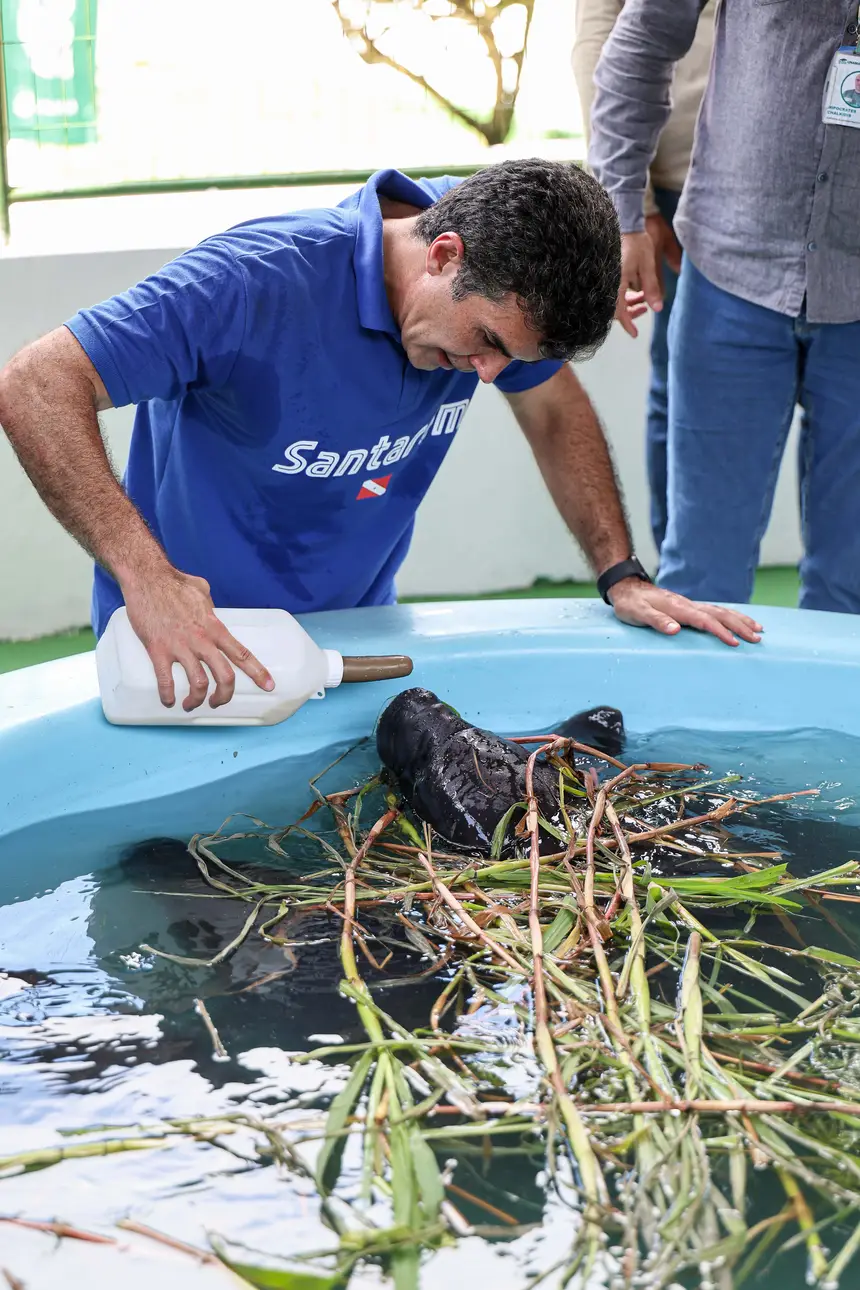  <div class='credito_fotos'>Foto: Marco Santos / Ag. Pará &nbsp;&nbsp;|&nbsp;&nbsp; <a href='/midias/2026/originais/20260324153732-GF00026636-F00503065.jpg' download><i class='fa-solid fa-download'></i> Download</a></div>